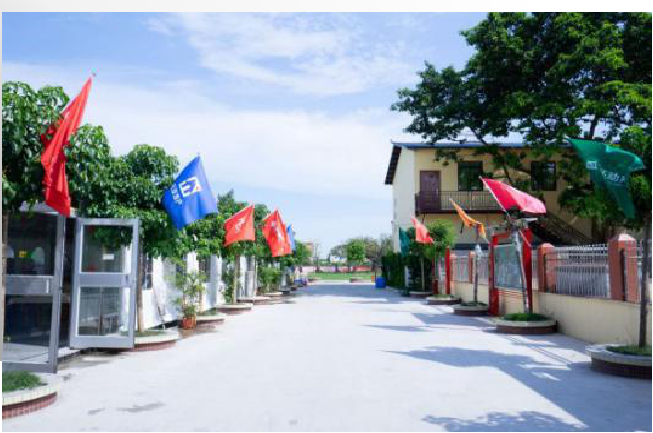 番禺海鷗研學(xué)基地