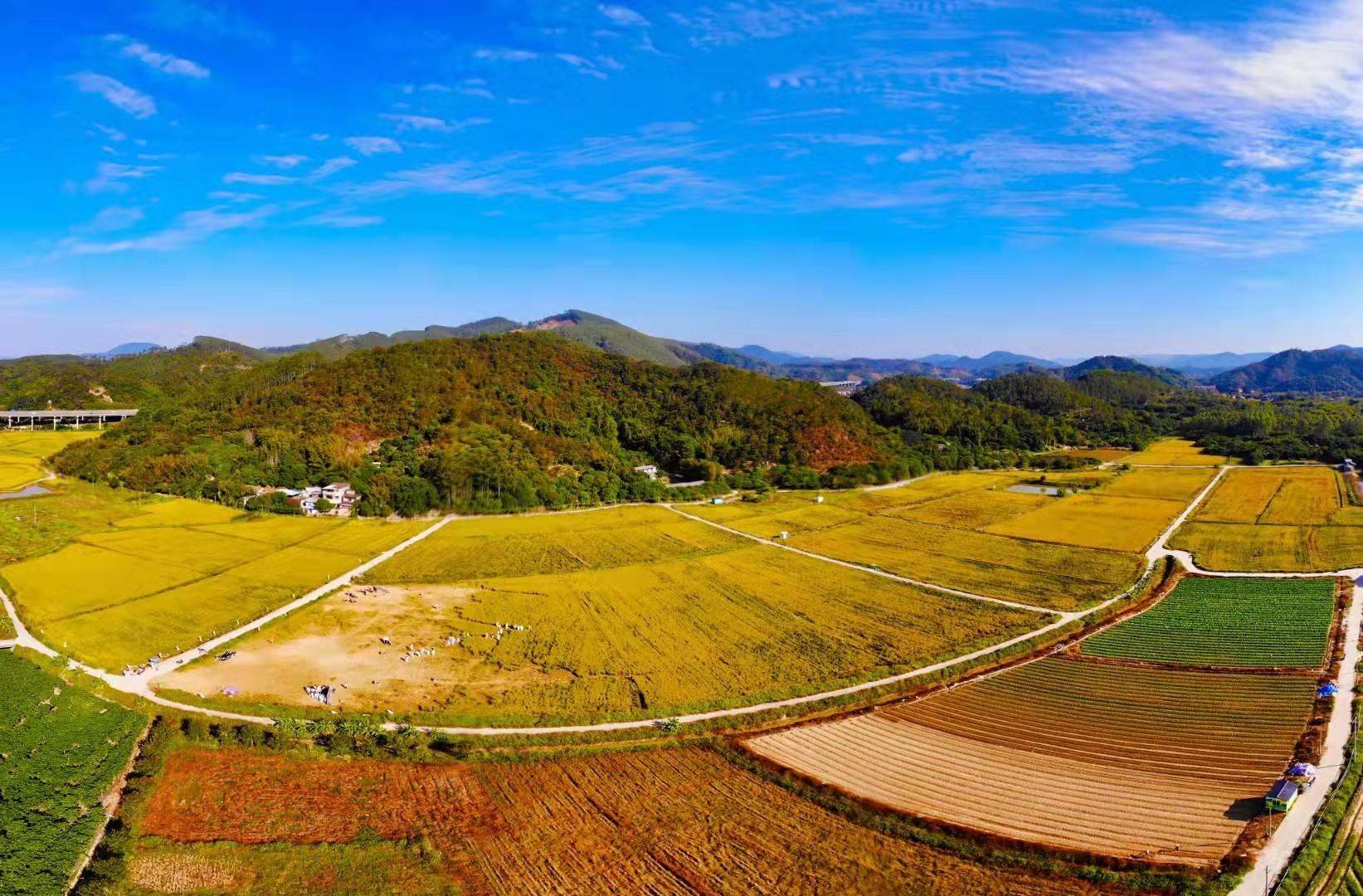 廣州增城倚豐農場(chǎng)綜合營(yíng)地