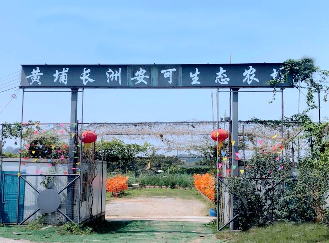 黃埔長(cháng)洲安可生態(tài)農場(chǎng)