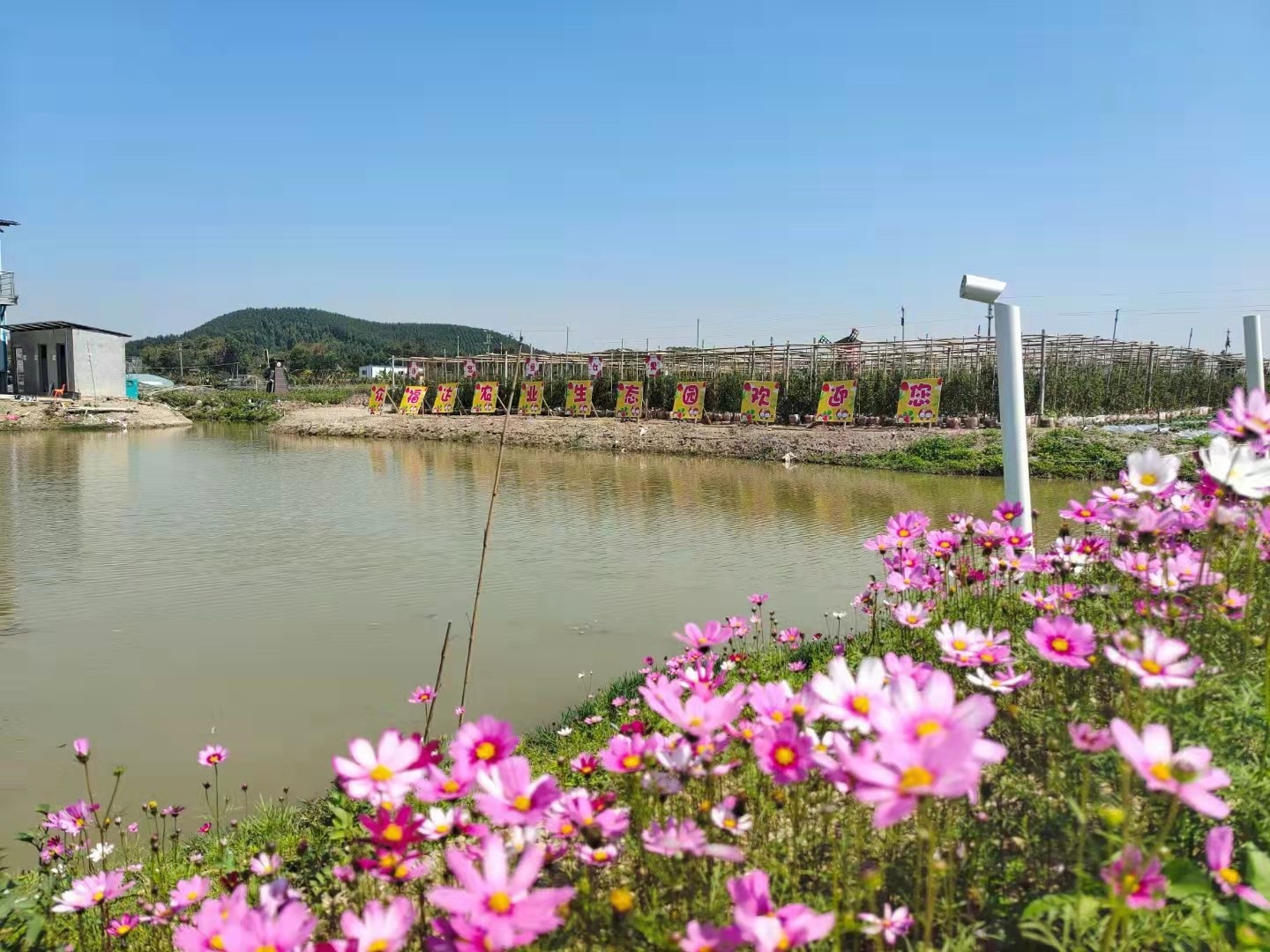 高明眾福達農業(yè)生態(tài)園