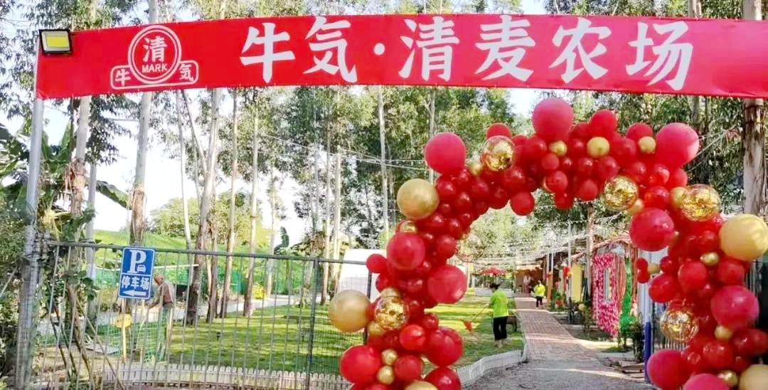 禪城上元清麥農場(chǎng)