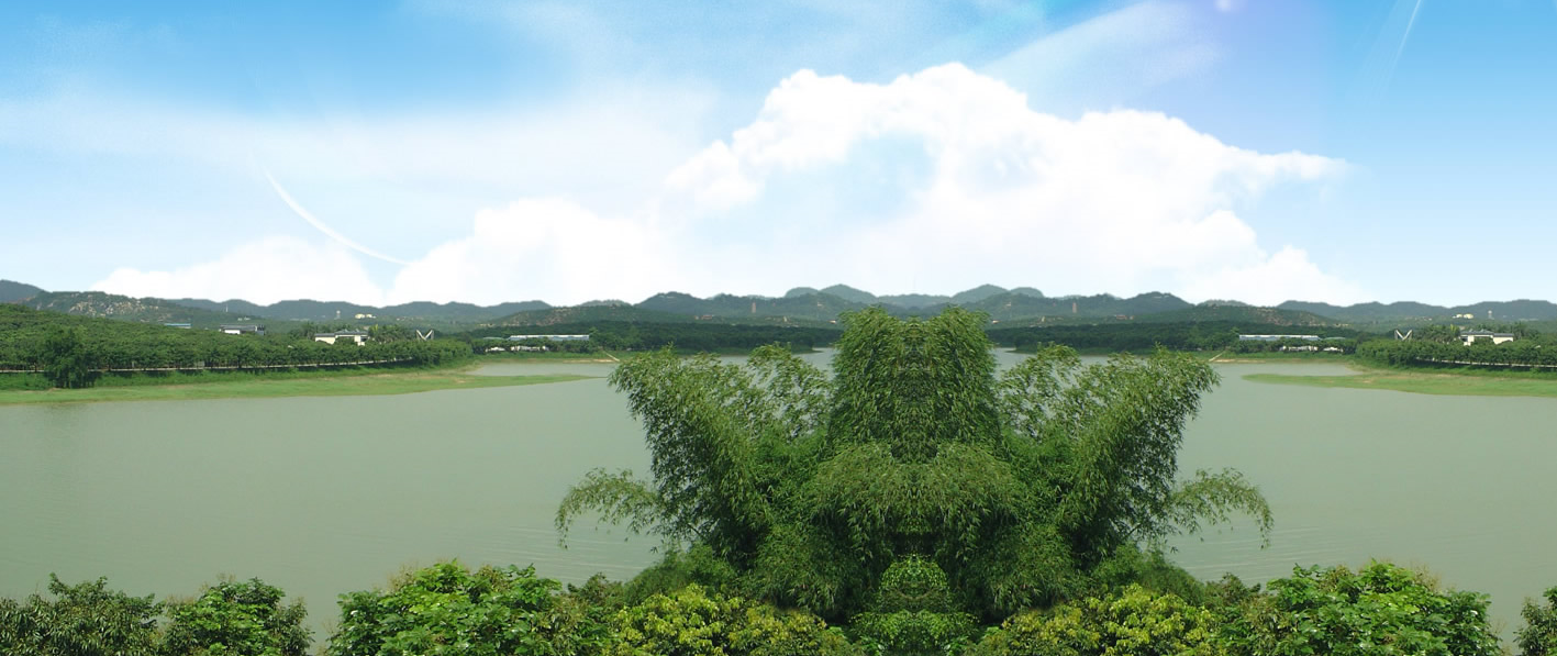 深圳南山區荔枝世界拓展基地