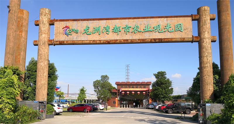 東莞龍洲灣都市農業(yè)觀(guān)光園