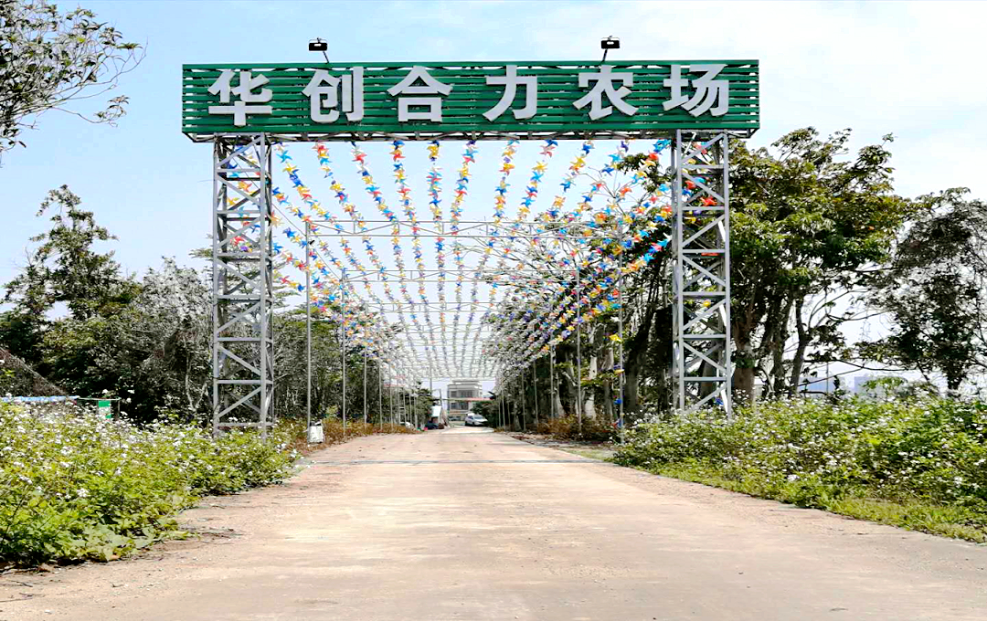 中山坦洲合力農場(chǎng)