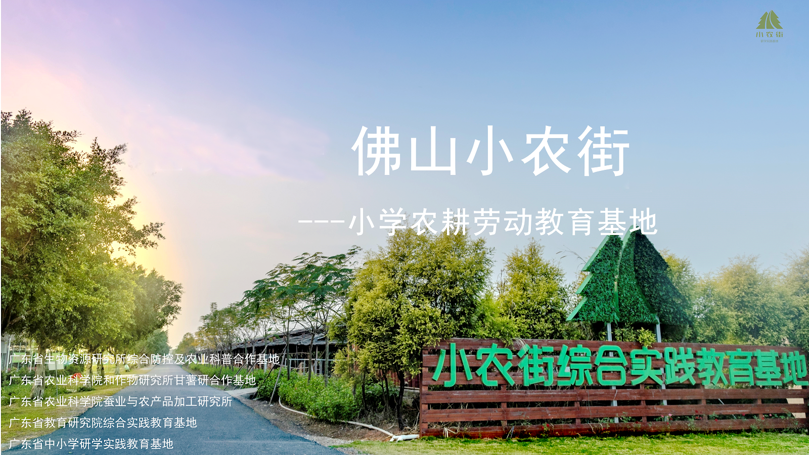 佛山小農街綜合研學(xué)實(shí)踐基地
