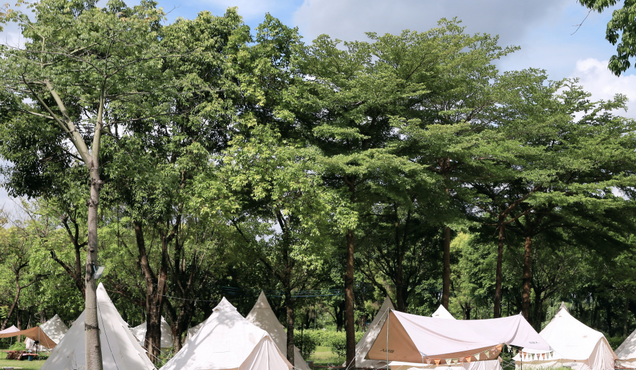 廣州團建游戲-迷失叢林