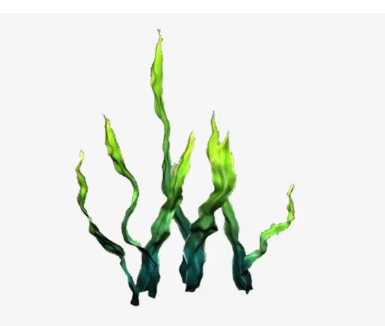 廣州團建游戲-水草