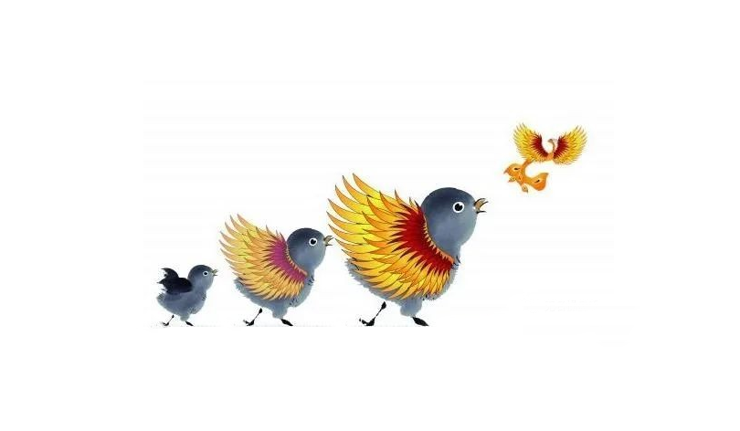 廣州團建游戲-進(jìn)化論