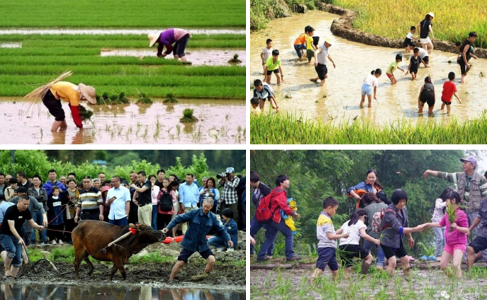 《農業(yè)+工業(yè)》綜合研學(xué)