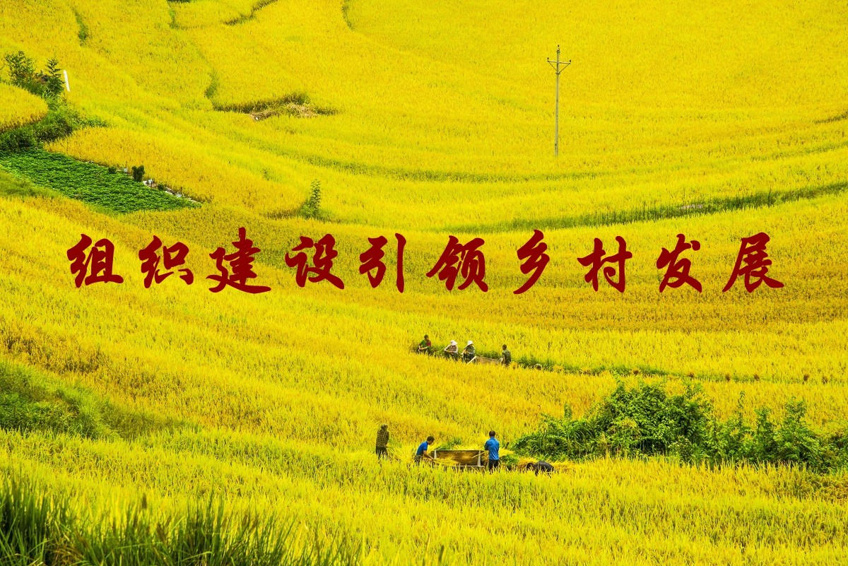 組織建設引領(lǐng)鄉村發(fā)展