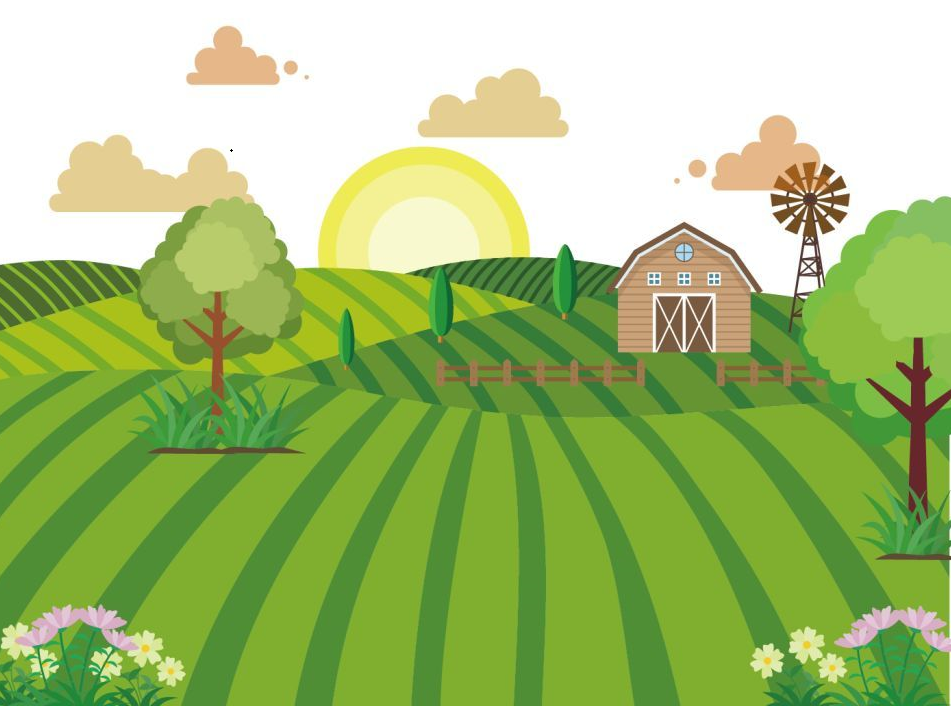 加強組織建設，引領(lǐng)鄉村發(fā)展