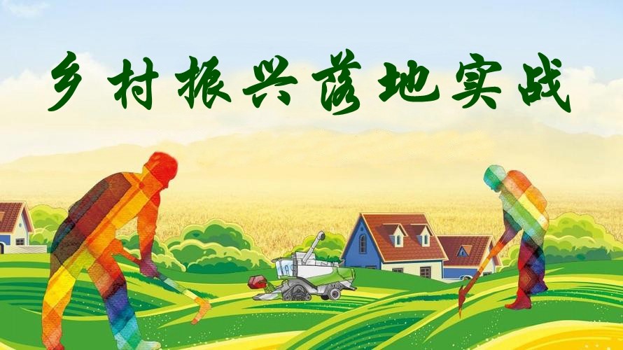農業(yè)強 農村美 農民富——鄉村振興落地實(shí)戰
