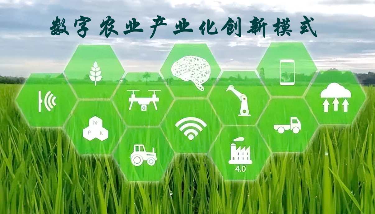 數字農業(yè)產(chǎn)業(yè)化創(chuàng  )新模式