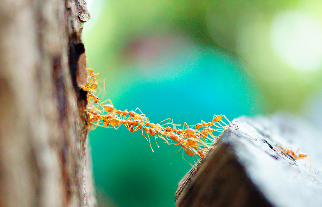 打造高績(jì)效團隊與執行力