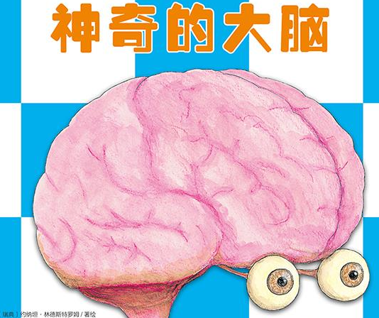 廣州團建游戲-神奇的大腦