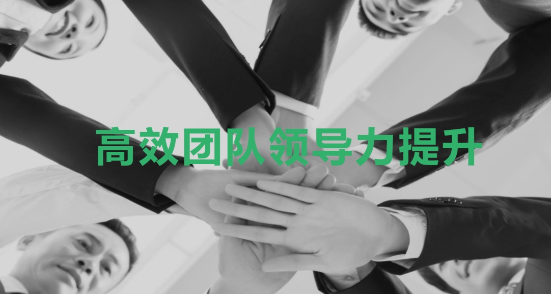 高效團隊領(lǐng)導力提升