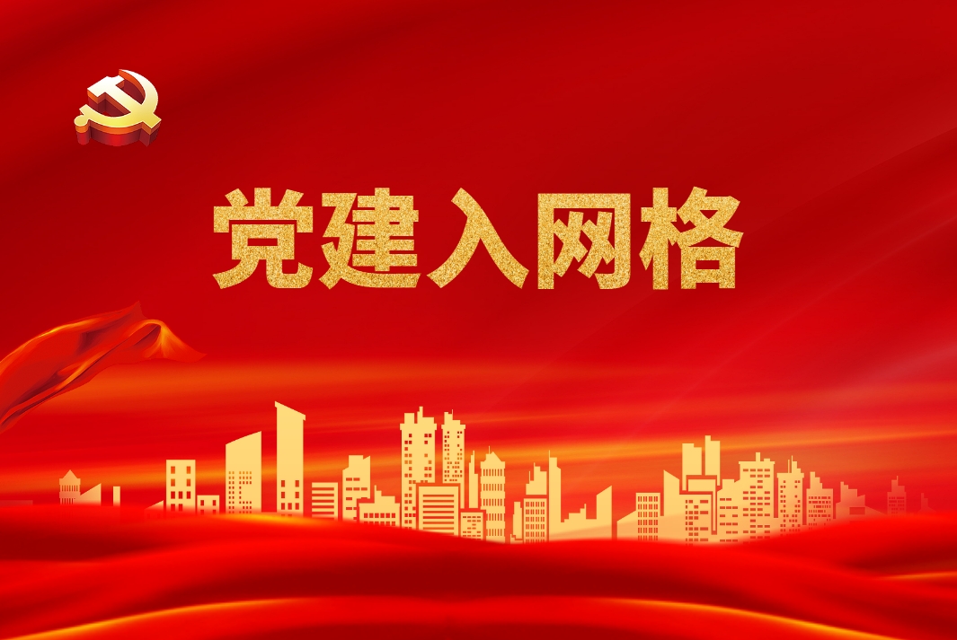 《黨建入網(wǎng)格》 網(wǎng)格治理