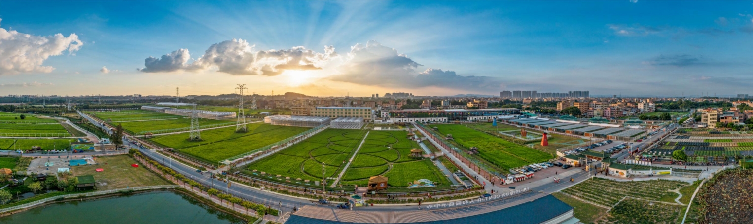 廣州人和園農業(yè)基地