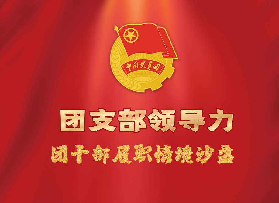 《團支部領(lǐng)導力》團干部履職情境沙盤(pán)