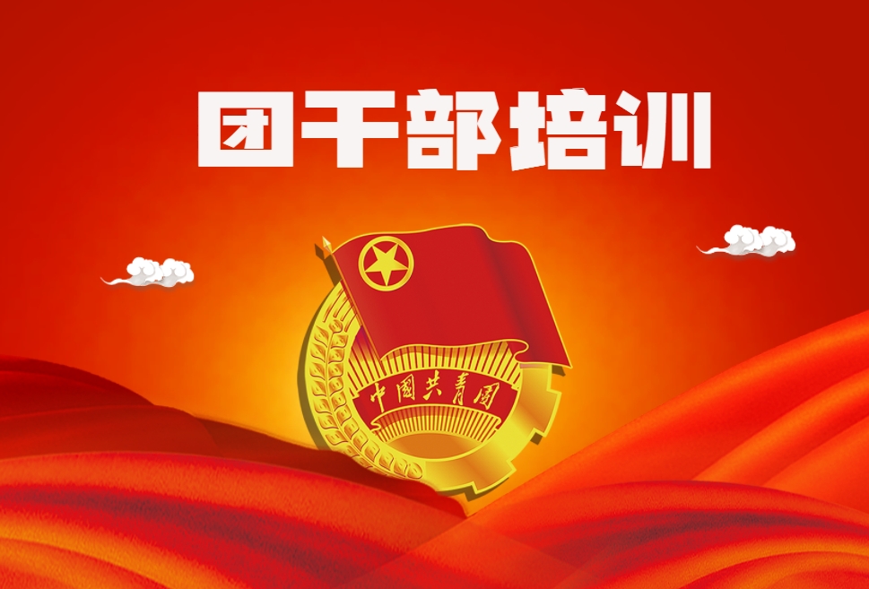 團干部培訓方案（定制版）