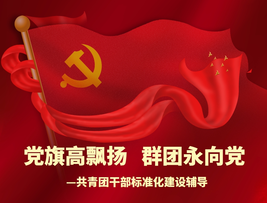 “黨旗高飄揚  群團永向黨”——共青團干部標準化建設輔導