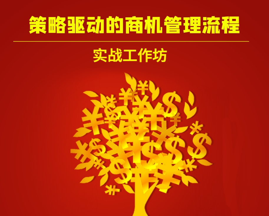 【策略驅動(dòng)的商機管理流程】實(shí)戰工作坊